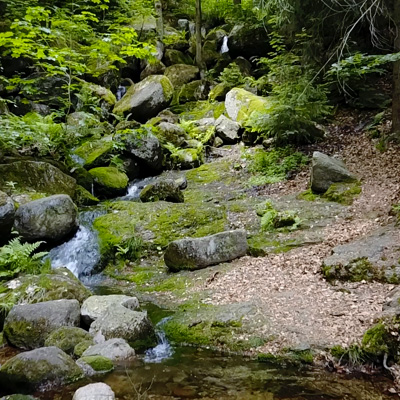 Albrechtice v Jiz. horách